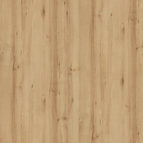 Textures   -   ARCHITECTURE   -   WOOD   -   Fine wood   -  Light wood - Beech light wood fine texture seamless 04358