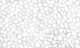 Textures   -   ARCHITECTURE   -   ROADS   -   Paving streets   -   Rounded cobble  - Rounded cobblestone texture seamless 20492 - Ambient occlusion