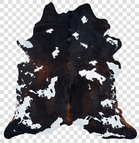Textures   -   MATERIALS   -   RUGS   -  Cowhides rugs - Cow leather rug texture 20015