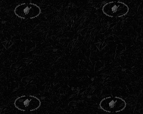Textures   -   NATURE ELEMENTS   -   VEGETATION   -   Green grass  - Green grass texture seamless 12973 - Specular