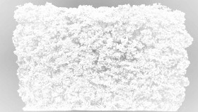 Textures   -   NATURE ELEMENTS   -   VEGETATION   -   Hedges  - Cut out autumnal hedge texture 18708 - Ambient occlusion