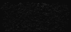 Textures   -   NATURE ELEMENTS   -   VEGETATION   -   Hedges  - Cut out autumnal hedge texture 18709 - Specular