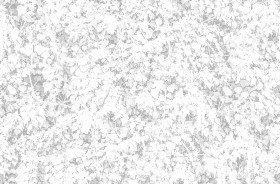 Textures   -   NATURE ELEMENTS   -   VEGETATION   -   Hedges  - Ivy hedge texture seamless 20192 - Ambient occlusion