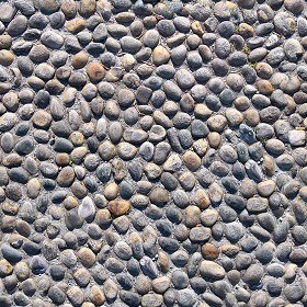 Textures   -   ARCHITECTURE   -   ROADS   -   Paving streets   -  Rounded cobble - Street paving rounded cobblestone texture seamless 21264