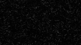 Textures   -   NATURE ELEMENTS   -   VEGETATION   -   Hedges  - Red robin hedge texture seamless 20691 - Specular