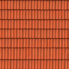 Textures   -   ARCHITECTURE   -   ROOFINGS   -  Clay roofs - Clay roofing Cote de Nuits texture seamless 03347