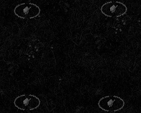 Textures   -   NATURE ELEMENTS   -   VEGETATION   -   Green grass  - Green grass texture seamless 12974 - Specular