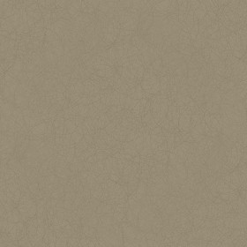 Textures   -   MATERIALS   -   METALS   -   Basic Metals  - Gold circular Scratched metal PBR texture seamless 21760 - Specular