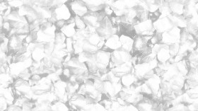Textures   -   NATURE ELEMENTS   -   VEGETATION   -   Hedges  - Ivy hedge texture seamless 20734 - Ambient occlusion