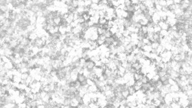 Textures   -   NATURE ELEMENTS   -   VEGETATION   -   Hedges  - Climbing ivy texture seamless 20775 - Ambient occlusion