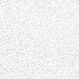 Textures   -   MATERIALS   -   LEATHER  - Leather texture seamless 09666 - Ambient occlusion