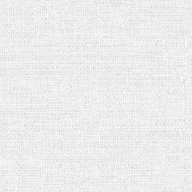 Textures   -   MATERIALS   -   FABRICS   -   Canvas  - Canvas fabric texture seamless 20399 - Ambient occlusion
