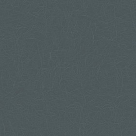 Textures   -   MATERIALS   -   LEATHER  - Leather texture seamless 09671 - Specular