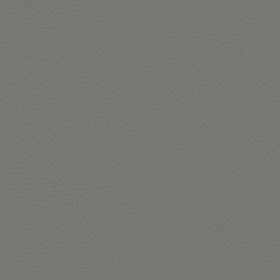Textures   -   MATERIALS   -   LEATHER  - Leather texture seamless 09595 - Specular