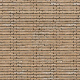 Textures   -   ARCHITECTURE   -   BRICKS   -  Old bricks - Old bricks texture seamless 00424