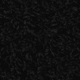 Textures   -   NATURE ELEMENTS   -   VEGETATION   -   Hedges  - Laurel hedge pbr texture seamless 22096 - Specular