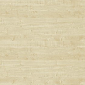 Textures   -   ARCHITECTURE   -   WOOD   -   Fine wood   -  Light wood - Maple light wood fine texture seamless 04381