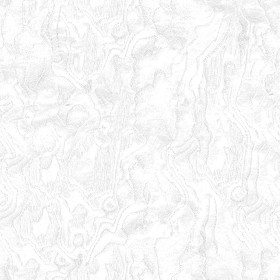 Textures   -   ARCHITECTURE   -   WOOD   -   Fine wood   -   Medium wood  - White ash burl wood medium color texture seamless 04488 - Ambient occlusion