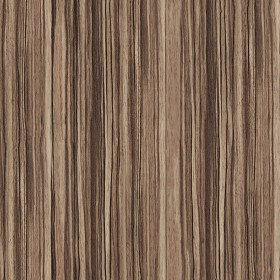 Textures   -   ARCHITECTURE   -   WOOD   -   Fine wood   -  Medium wood - Zebrano wood fine medium color texture seamless 04489
