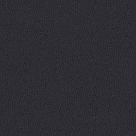Textures   -   MATERIALS   -   LEATHER  - Leather texture seamless 09676 - Specular