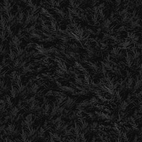 Textures   -   NATURE ELEMENTS   -   VEGETATION   -   Hedges  - Cypress hedge PBR texture seamless 22176 - Specular