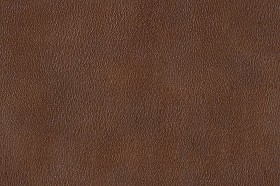 Textures   -   MATERIALS   -  LEATHER - Leather texture seamless 09679